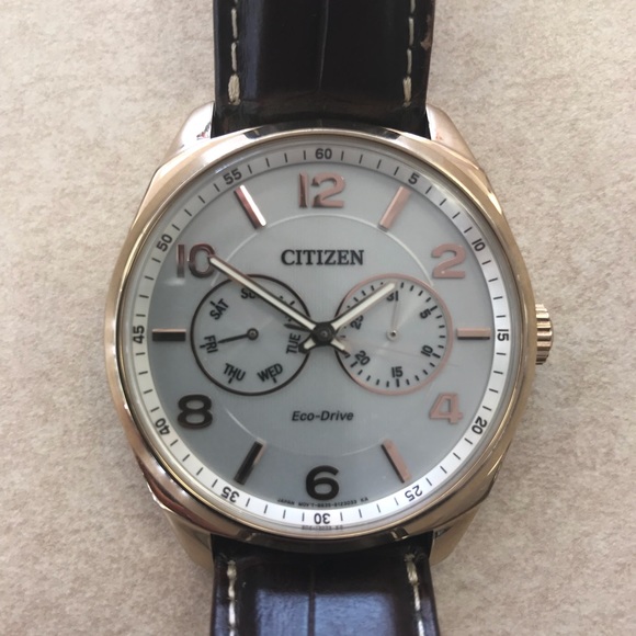 Citizen 22p Watch Strap Hot Sale, UP TO 50% OFF | lotuspriorat.com